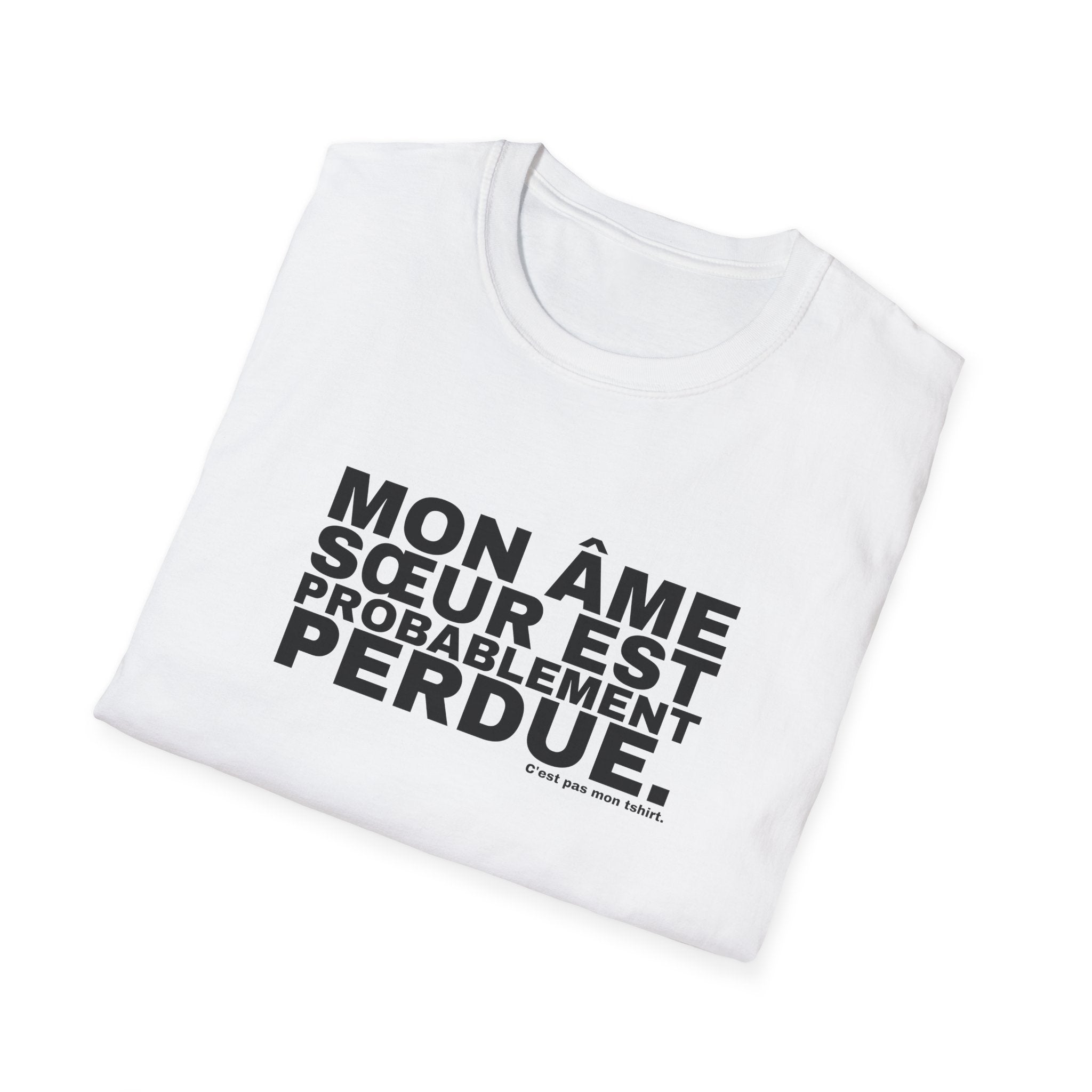 MON ÂME SŒUR EST PROBABLEMENT PERDUE.