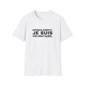 NORMALEMENT, JE SUIS CÉLIBATAIRE.