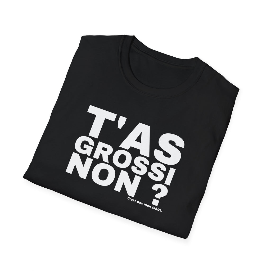 T'AS GROSSI NON ?