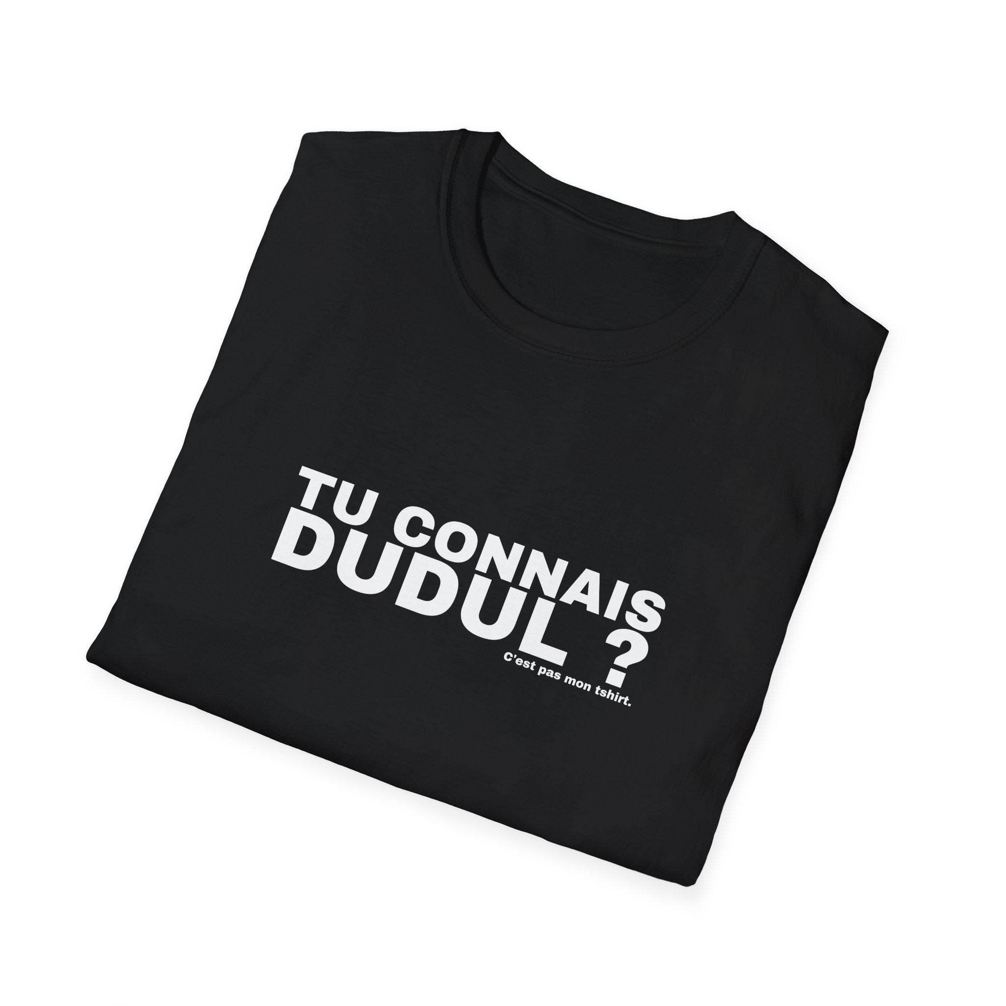 TU CONNAIS DUDUL ?