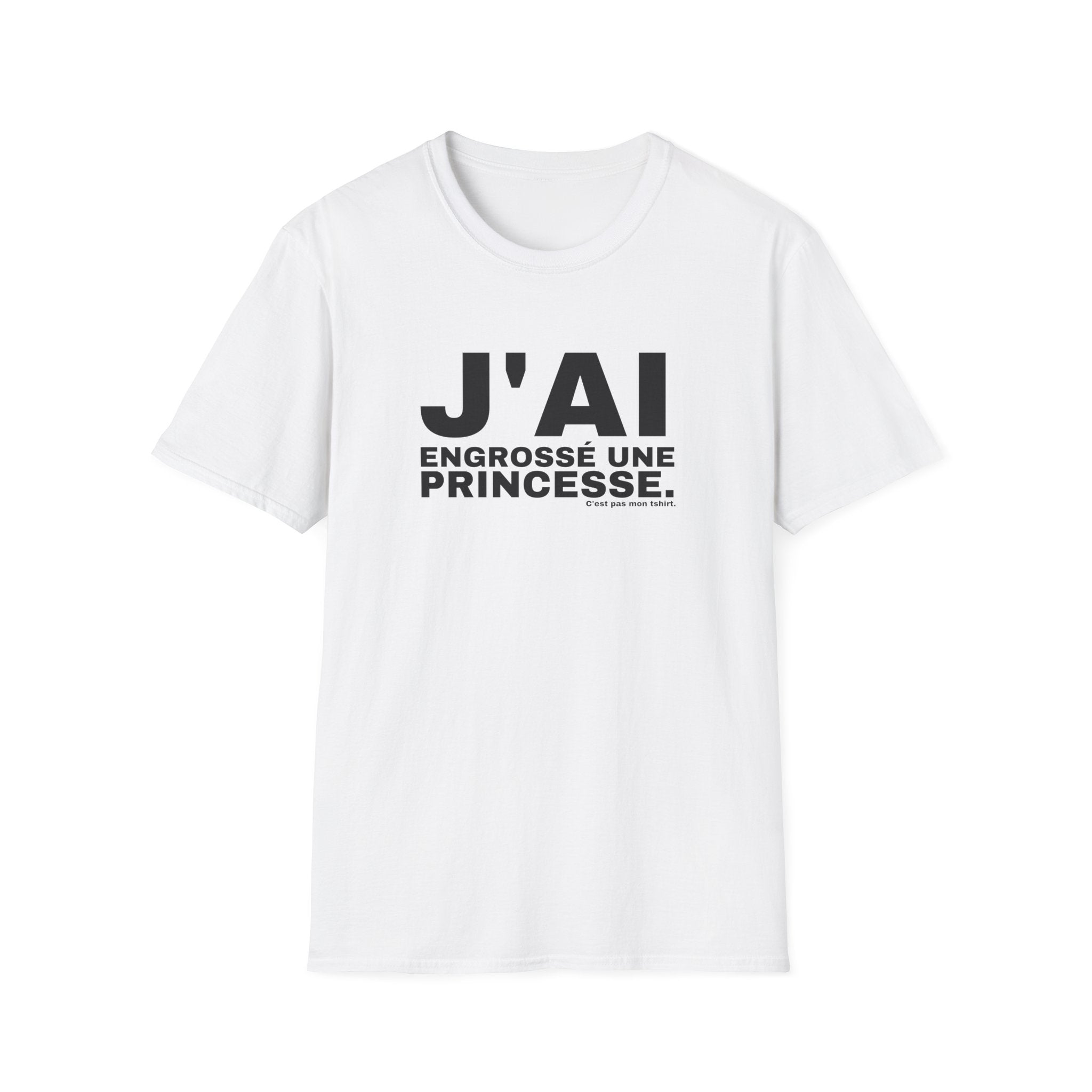 J'AI ENGROSSÉ UNE PRINCESSE.