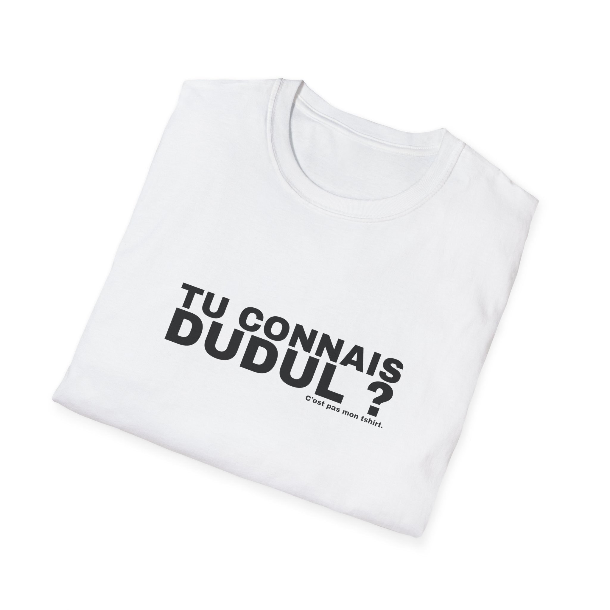 TU CONNAIS DUDUL ?