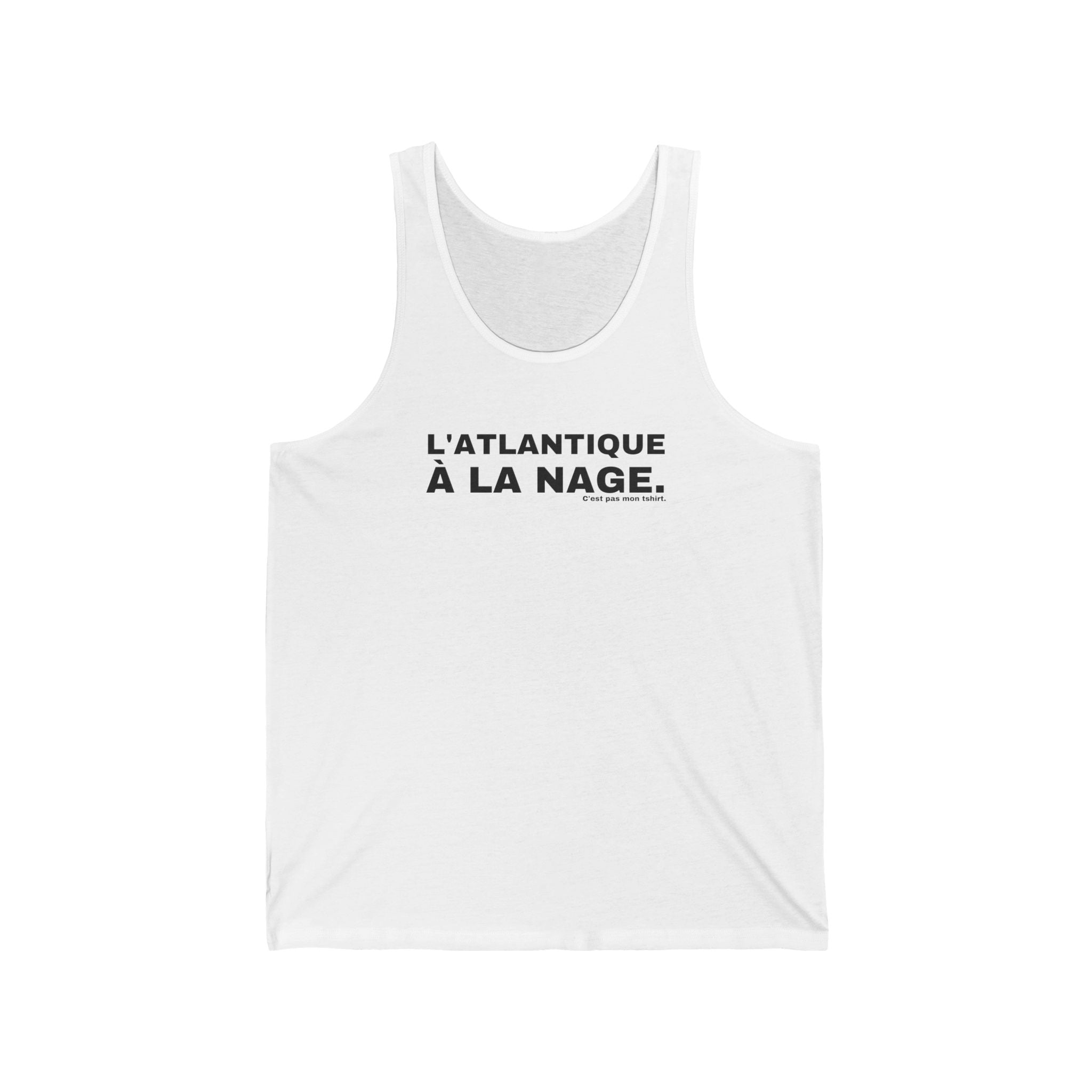 L'ATLANTIQUE À LA NAGE.