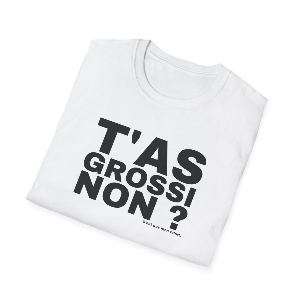 T'AS GROSSI NON ?