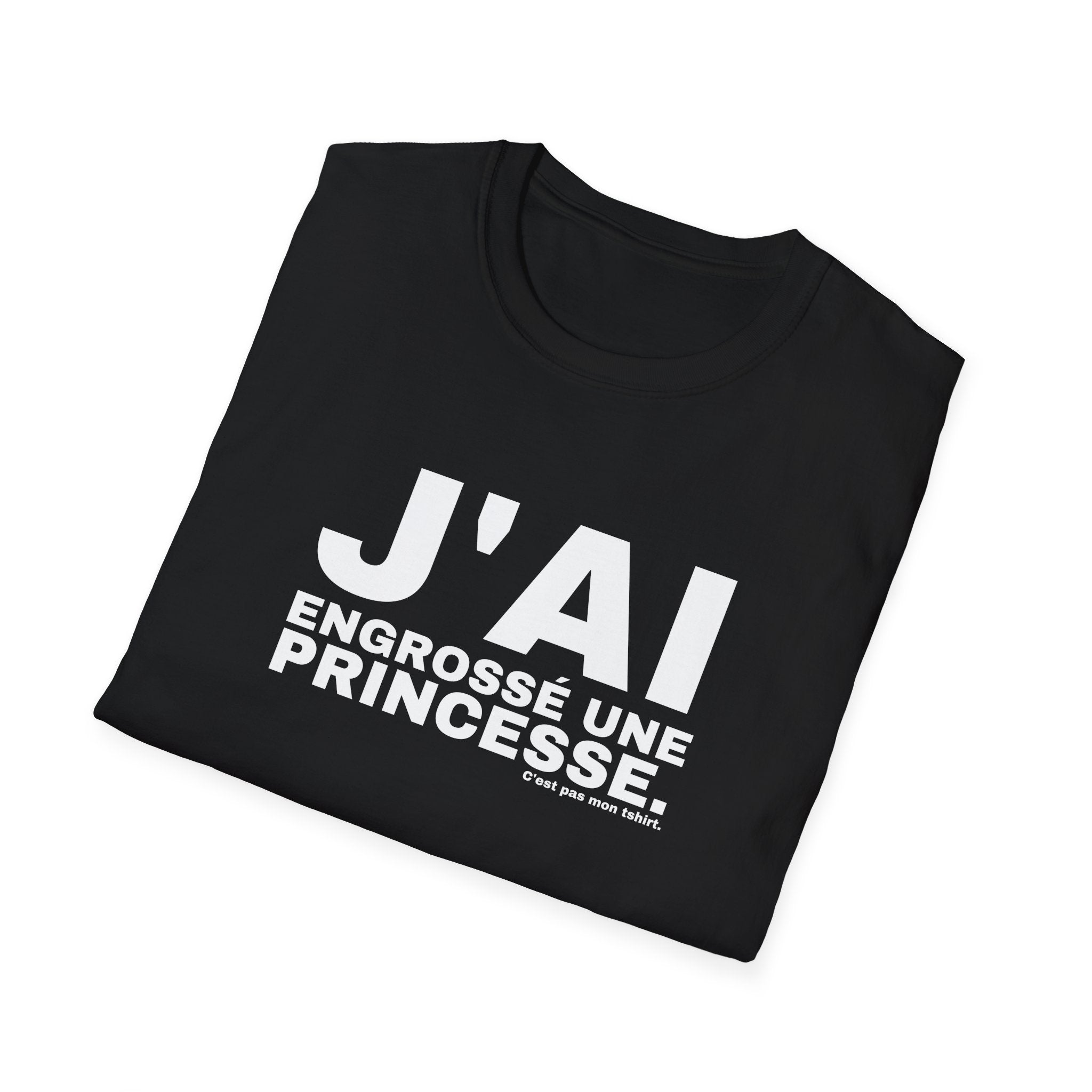 J'AI ENGROSSÉ UNE PRINCESSE.