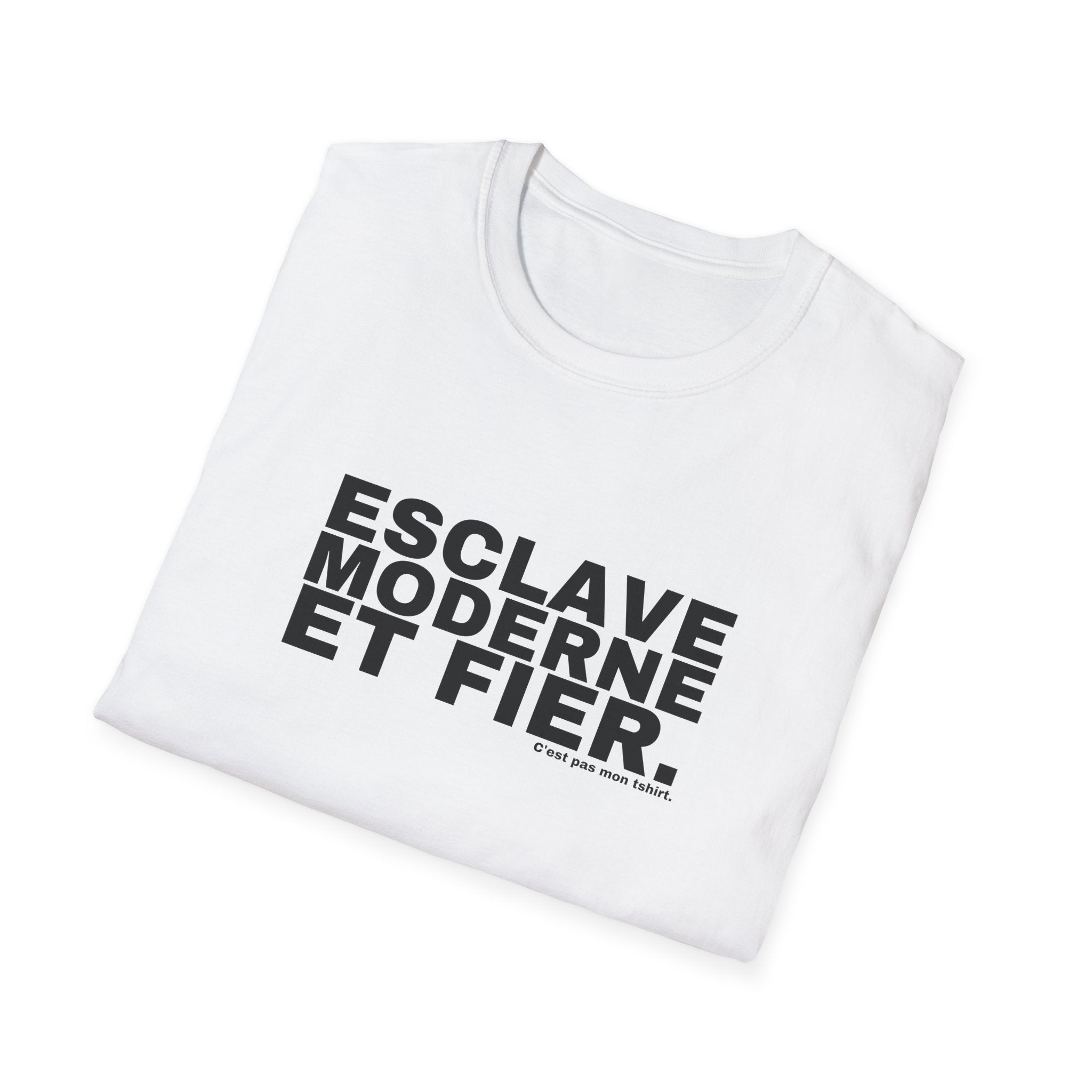 ESCLAVE MODERNE ET FIER.