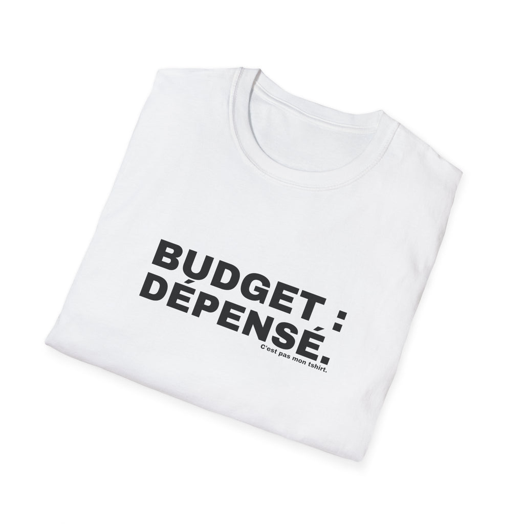 BUDGET : DÉPENSÉ.