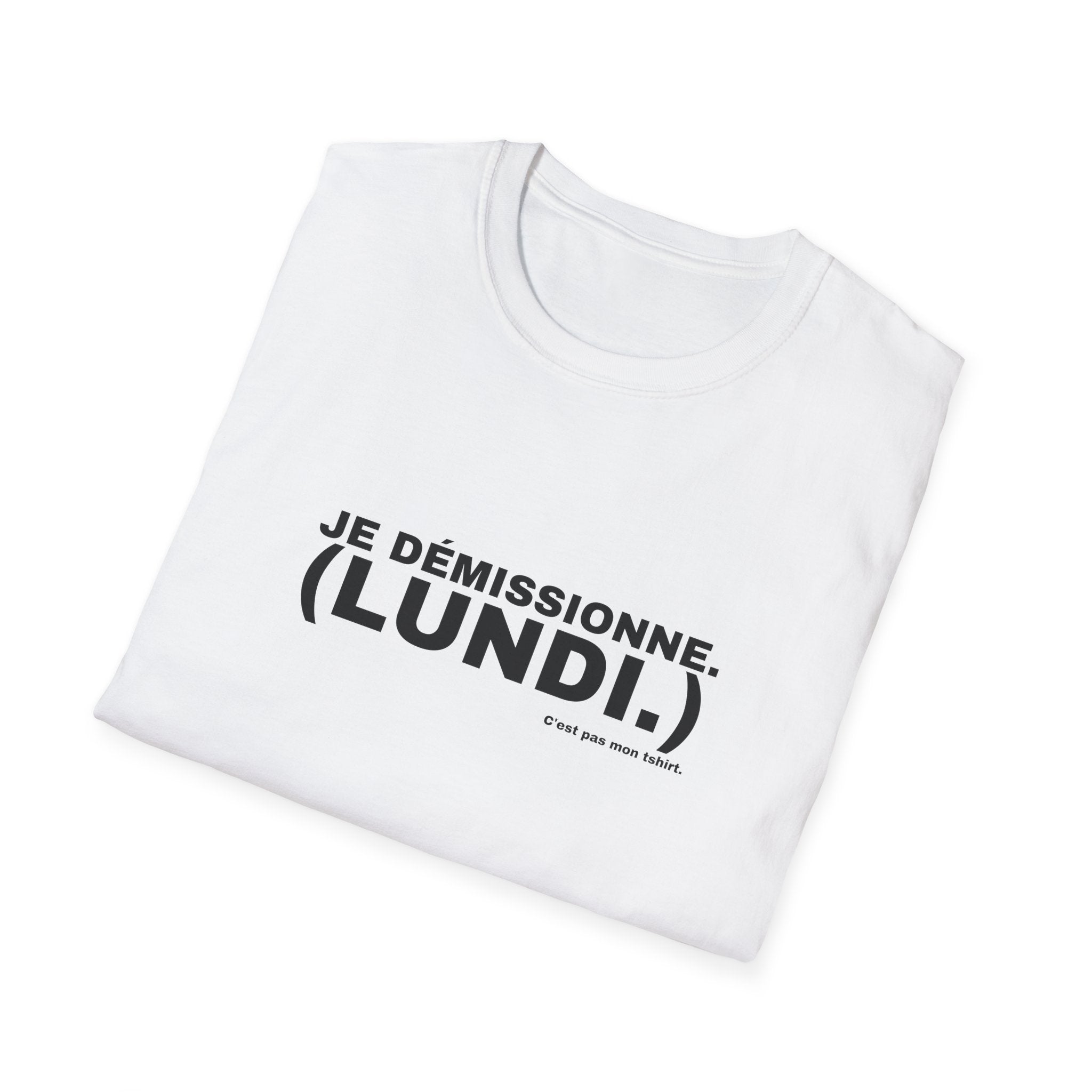 JE DÉMISSIONNE. (LUNDI.)