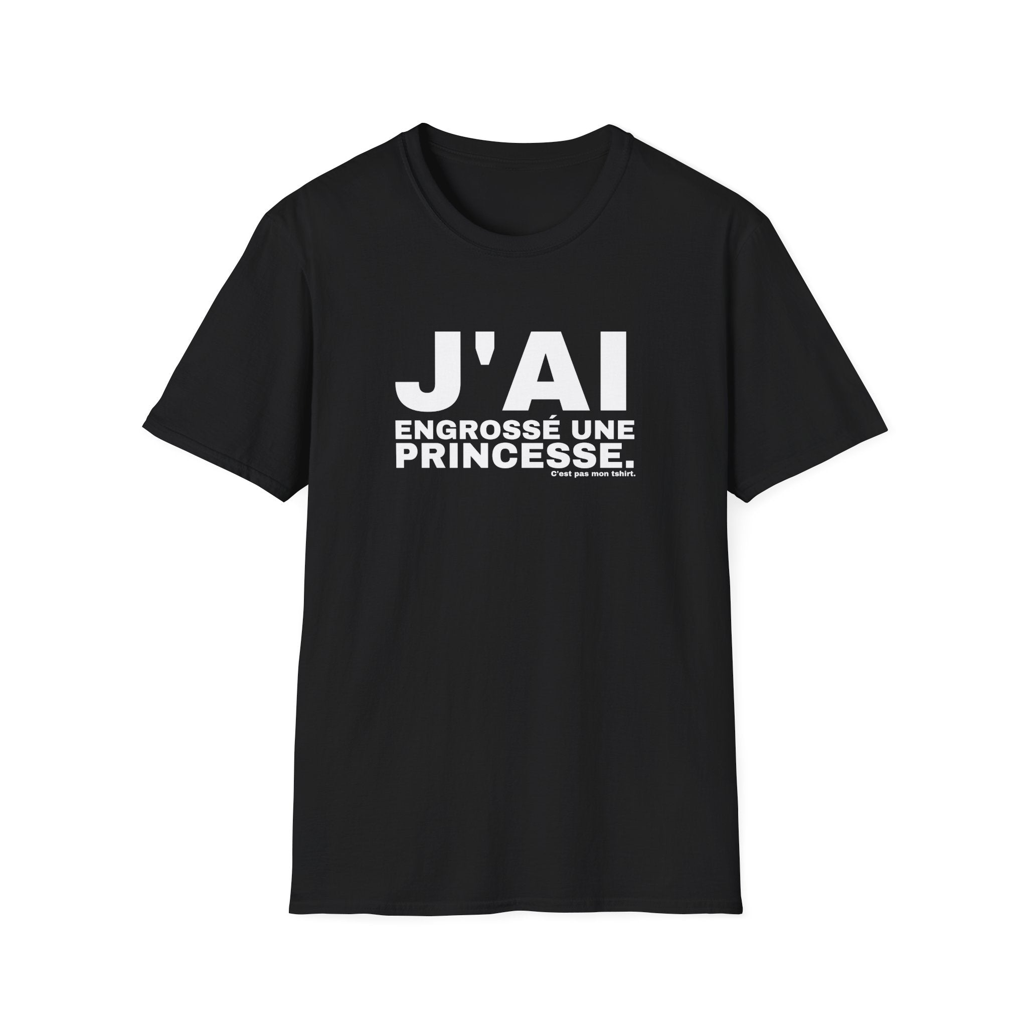 J'AI ENGROSSÉ UNE PRINCESSE.