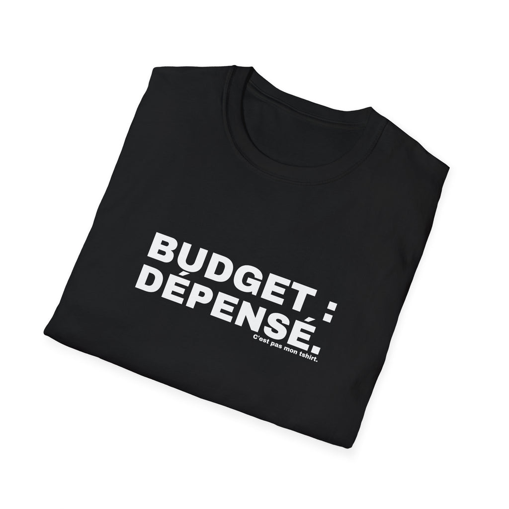 BUDGET : DÉPENSÉ.