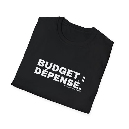 BUDGET : DÉPENSÉ.
